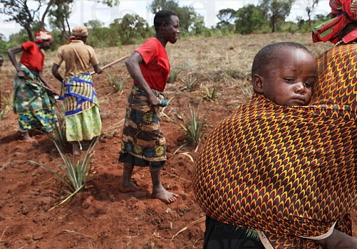 Women farmers in Burundi.  Photo by Picture Contact BV.